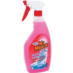 Multi Surface Cleaner