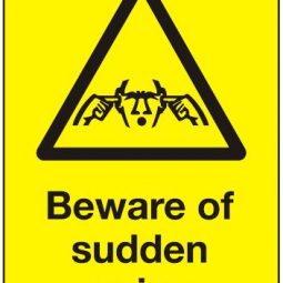Beware of Sudden Noise